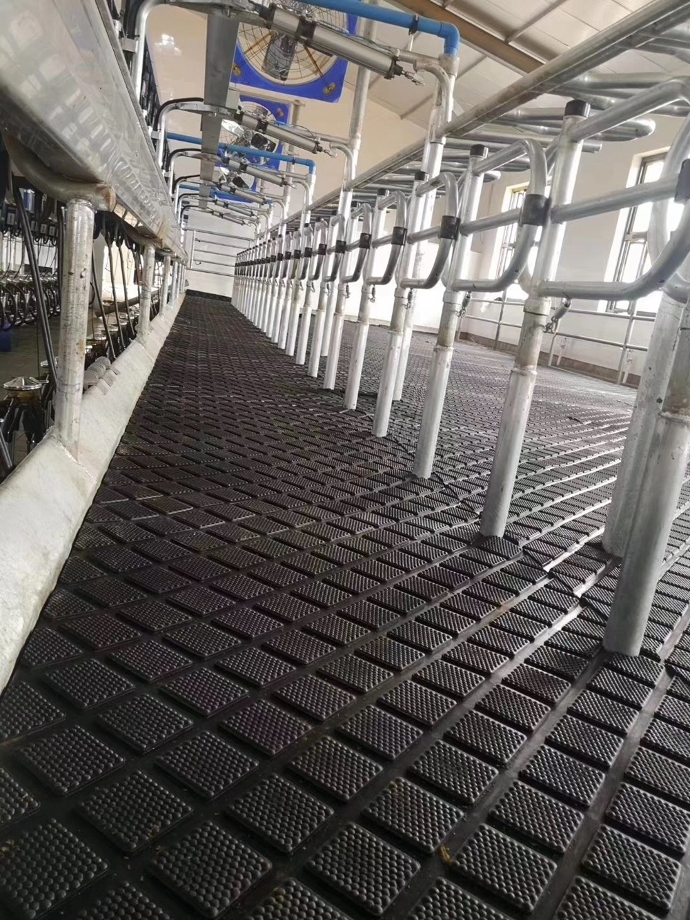 Cow Mat