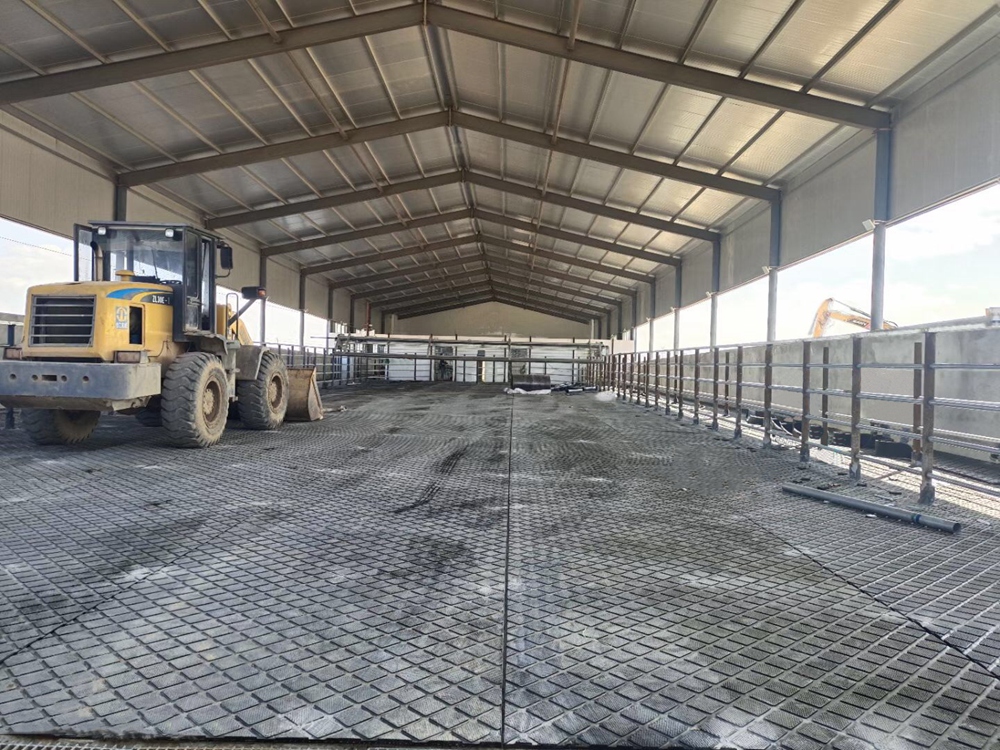 Cow Mat